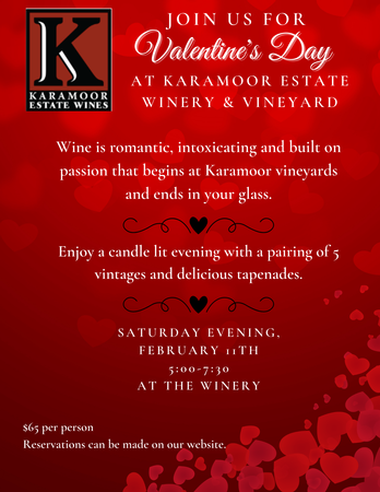 Valentine's Day Wine Tasting and Tapenades- February 11th